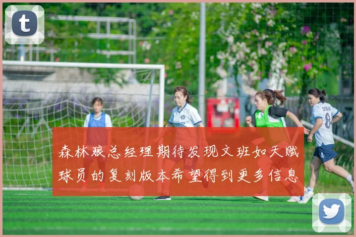 森林狼总经理期待发现文班如天赋球员的复刻版本希望得到更多信息