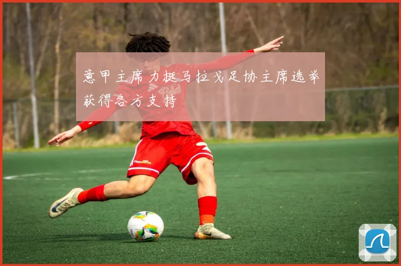 意甲主席力挺马拉戈足协主席选举获得各方支持